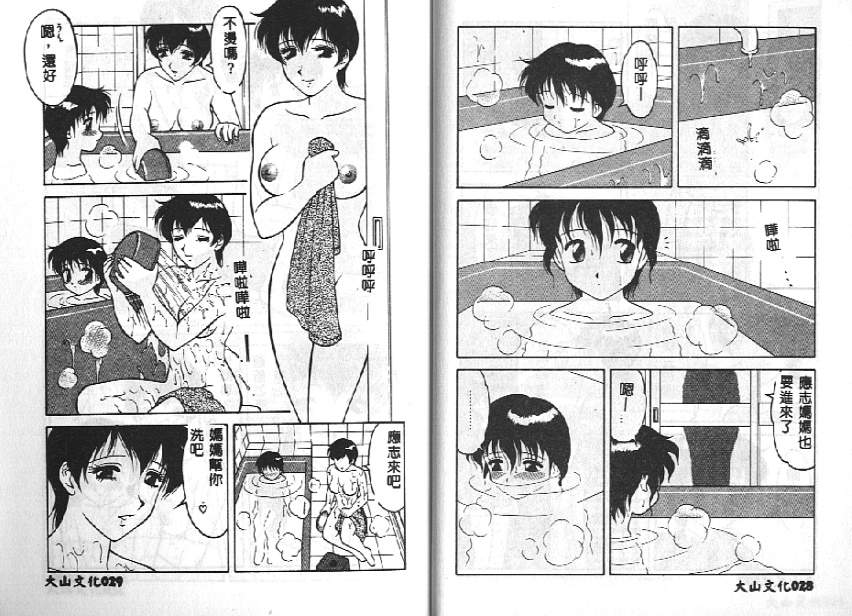 [拝狼] 紫苑の夜 愛蔵版 [中国翻訳]