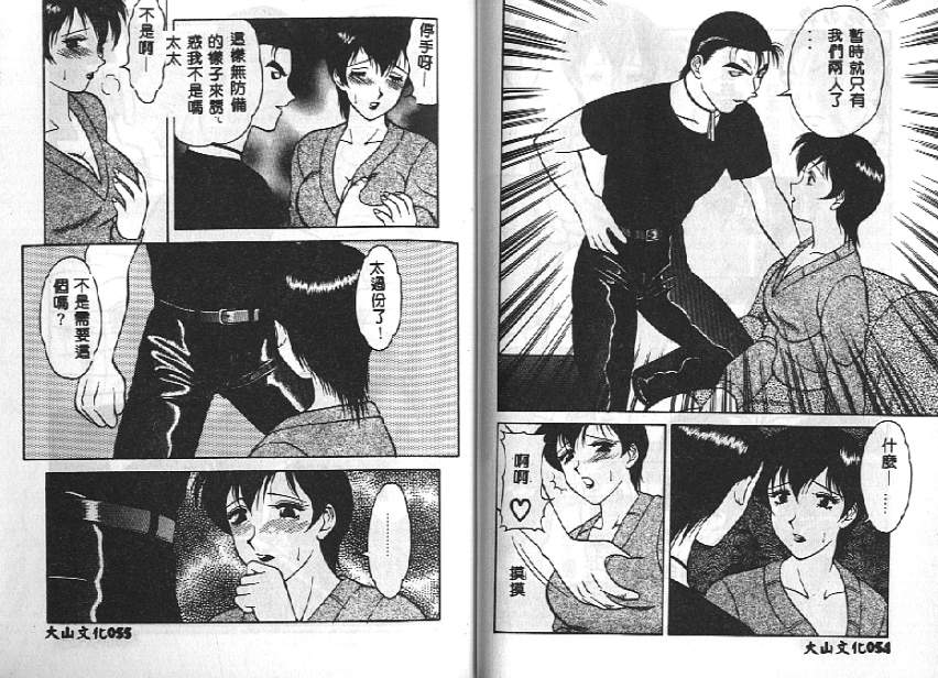 [拝狼] 紫苑の夜 愛蔵版 [中国翻訳]