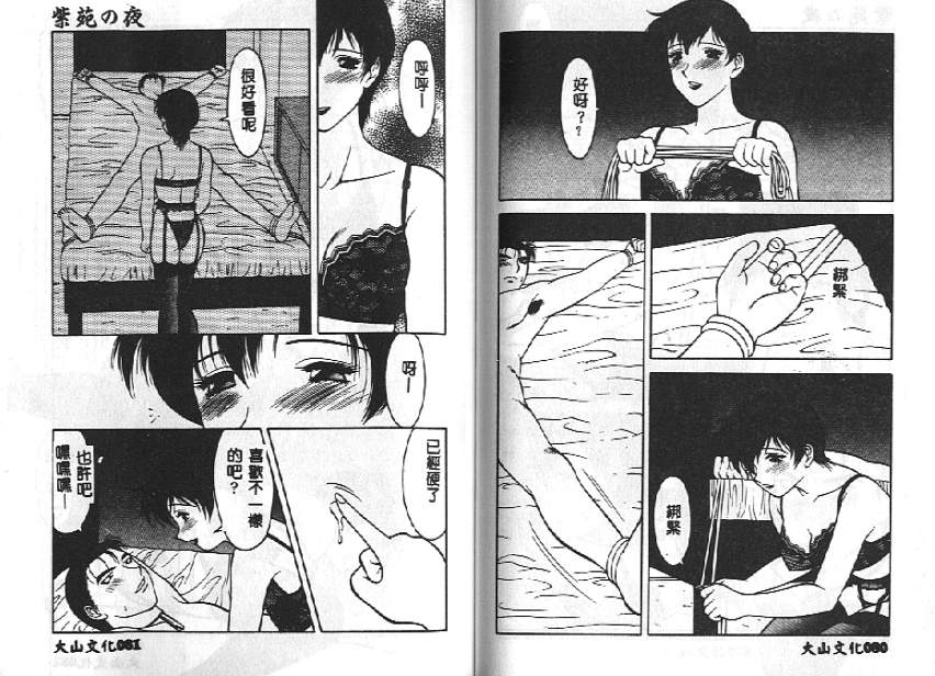 [拝狼] 紫苑の夜 愛蔵版 [中国翻訳]