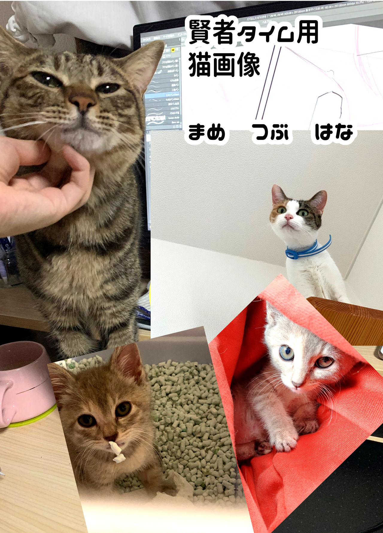 [まめつぶ商店 (久我繭莉)] ぱぱはむすめがだいすき [中国翻訳] [DL版]