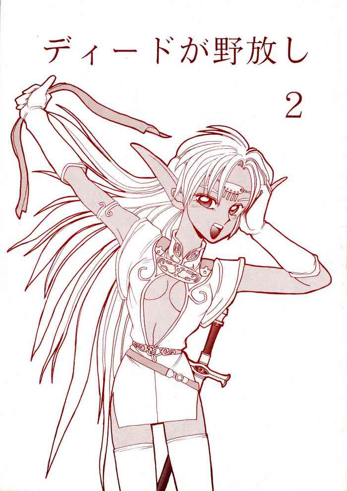 (C41) [ないとすとーかーず (SHAMP侍, Compiler)] ディードが野放し2 (ロードス島戦記, ストリートファイター)