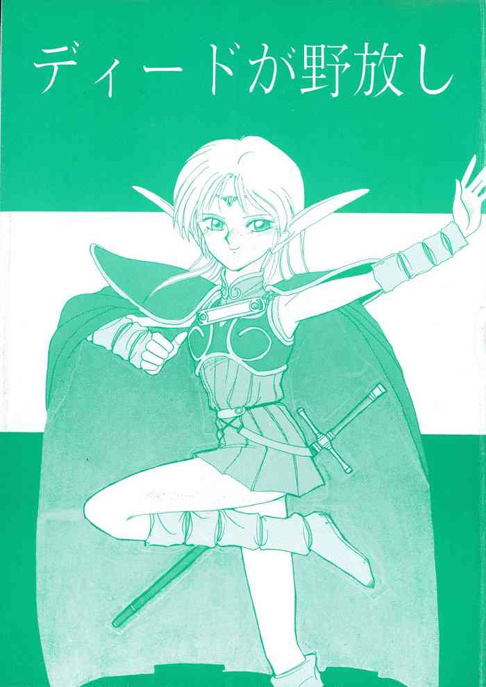 (C40) [ないとすとーかーず (SHAMP侍)] ディードが野放し (ロードス島戦記)