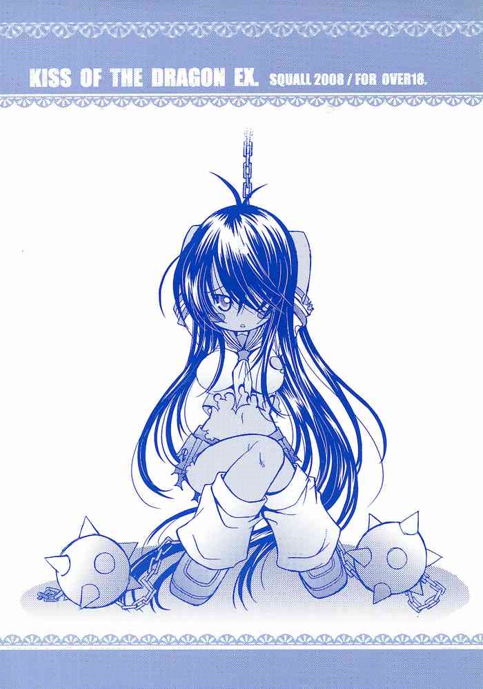 [Squall (鷹乃羽紅)] KISS OF THE DRAGON EX. (一騎当千)