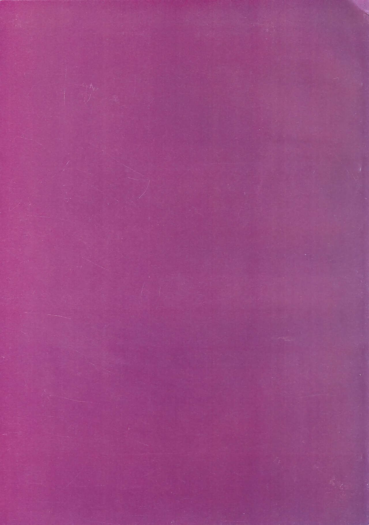 (SC37) [コーラルリーフ (夕海たかこ)] ネコとヒルネ (コードギアス 反逆のルルーシュ)