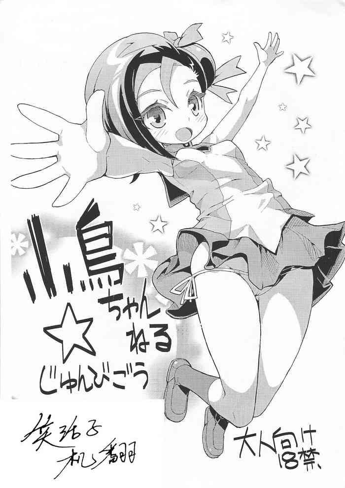 (COMIC1☆5) [WICKED HEART (ZooTAN)] 小鳥ちゃんねる☆じゅんびごう+α (遊☆戯☆王ZEXAL、ダンボール戦機) [中国翻訳]