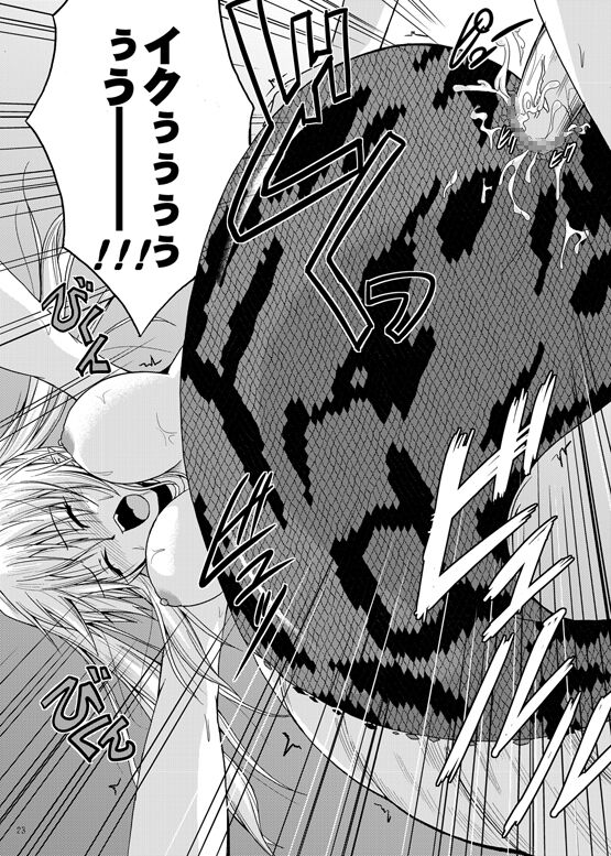 [SeaFox (霧咲白狐)] MONSTER CROSS [DL版]