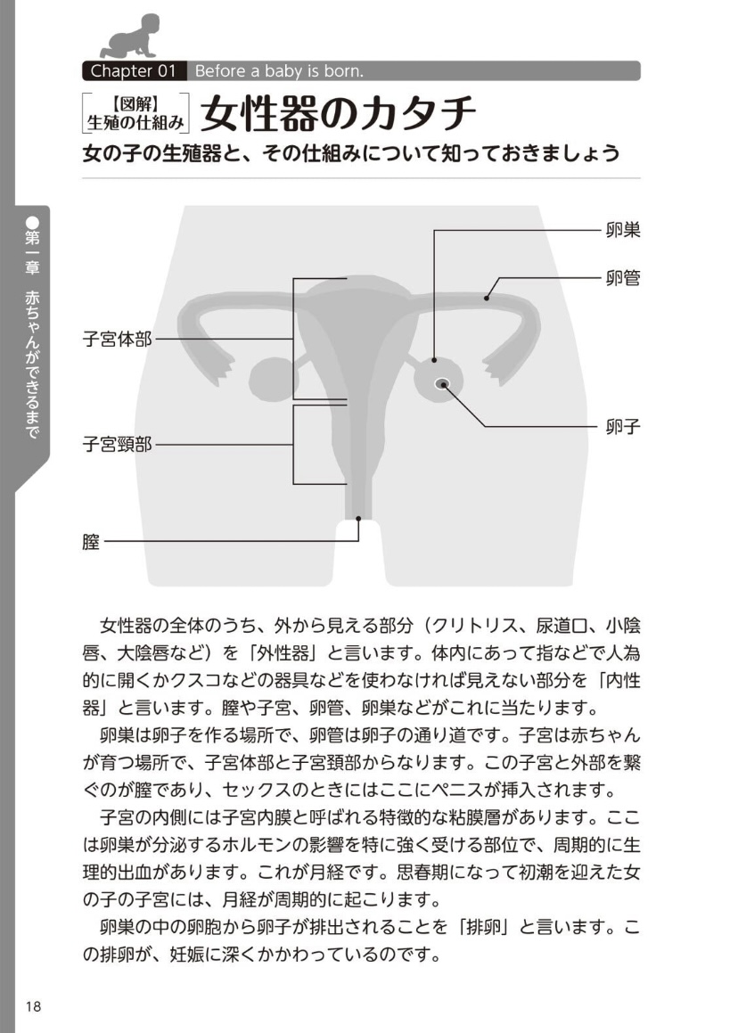 [マニアックラブ研究会] やらなくてもまんがで解る性交と妊娠 赤ちゃんのつくり方