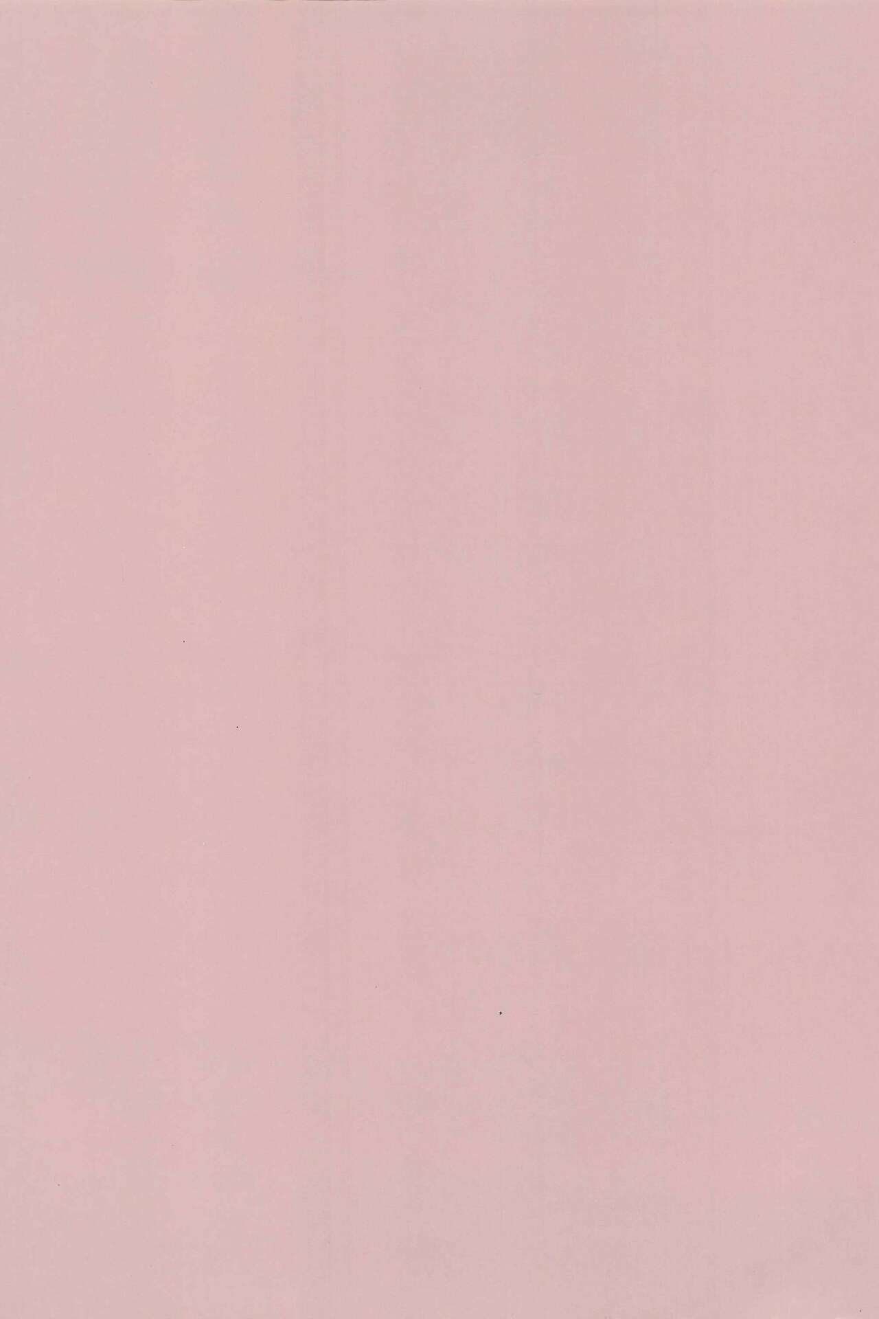 (C94) [帰宅時間 (きたく)] BE WILD! (ラブライブ!サンシャイン!!)