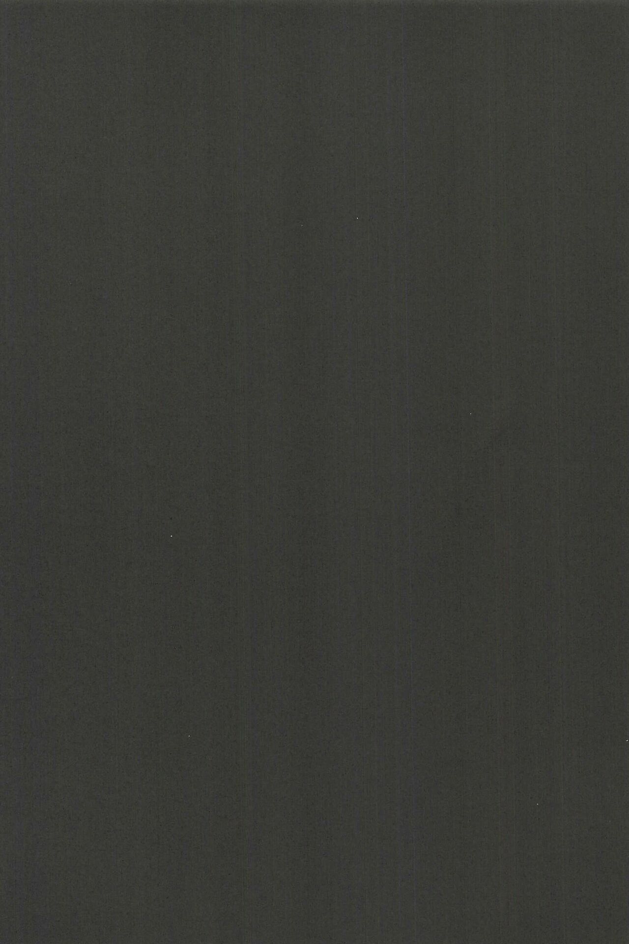 (C94) [帰宅時間 (きたく)] BE WILD! (ラブライブ!サンシャイン!!)