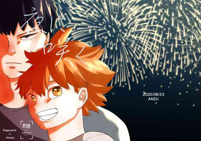 [暴走果実 (ANZU)] 夜に咲く (ハイキュー!!) [DL版]