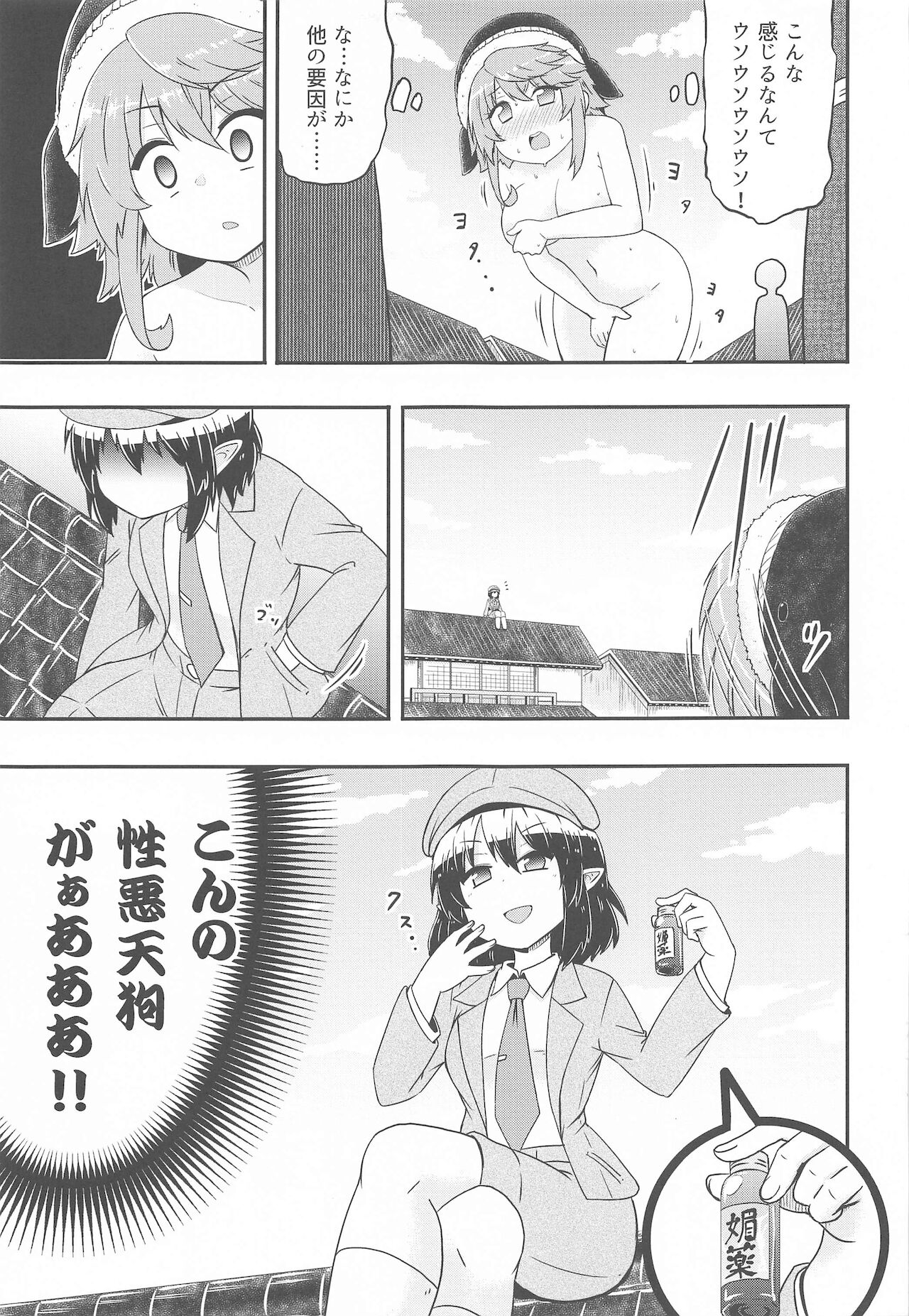 (紅楼夢17) [Public Punishment (コースター)] どうせ憶えていないのなら (東方Project)