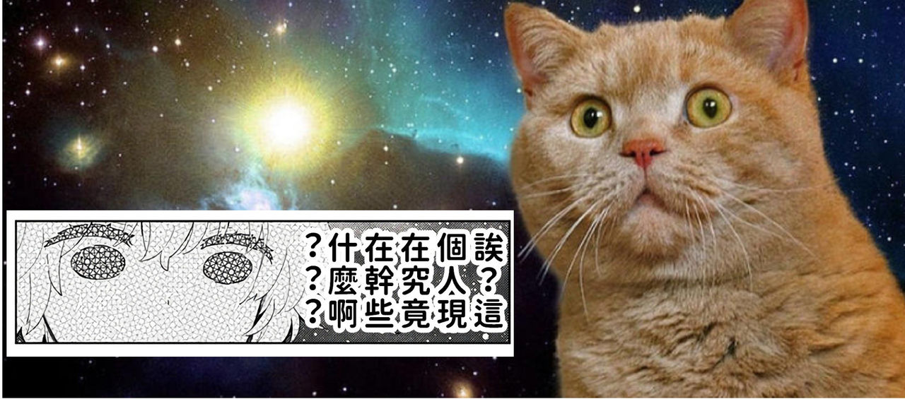 [シイナ] ノラネコ少女との暮らしかた 第22-31話 [中国翻訳]