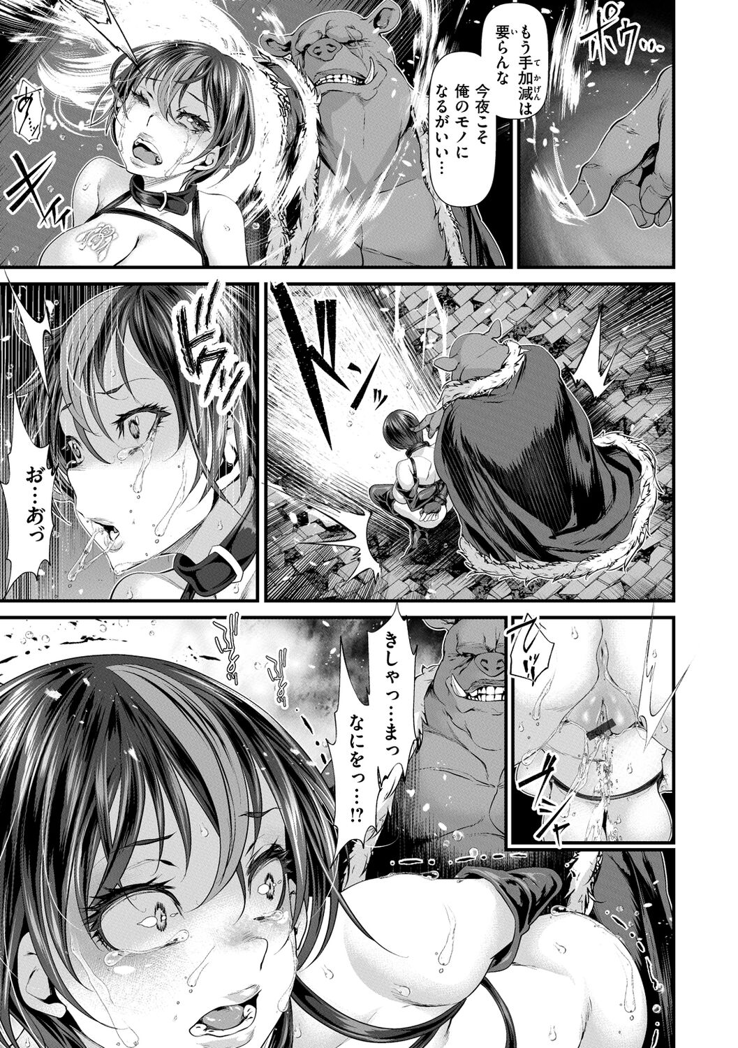 [tes_mel] けだもの春画