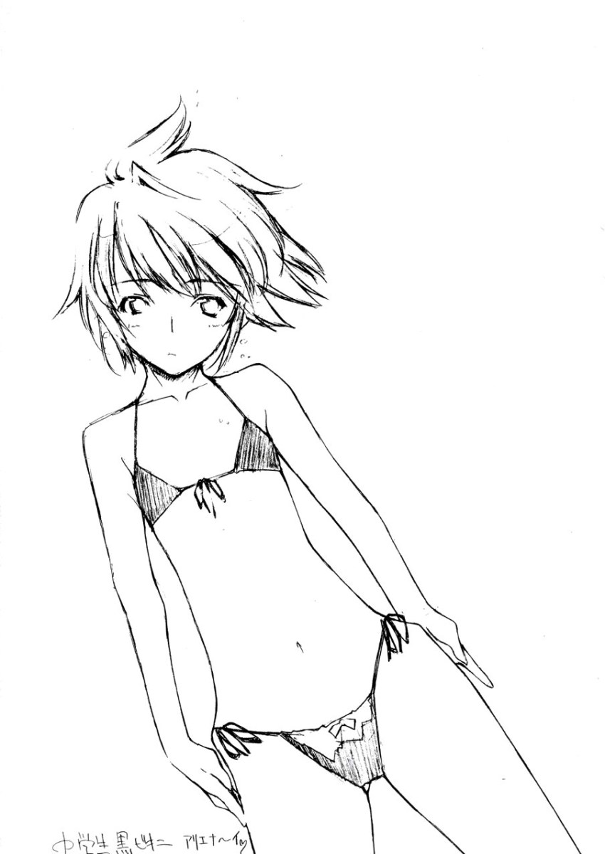 (サンクリ24) [昇龍亭 (昇龍亭圓楽)] ふたりはプリキュアの本 (ふたりはプリキュア)