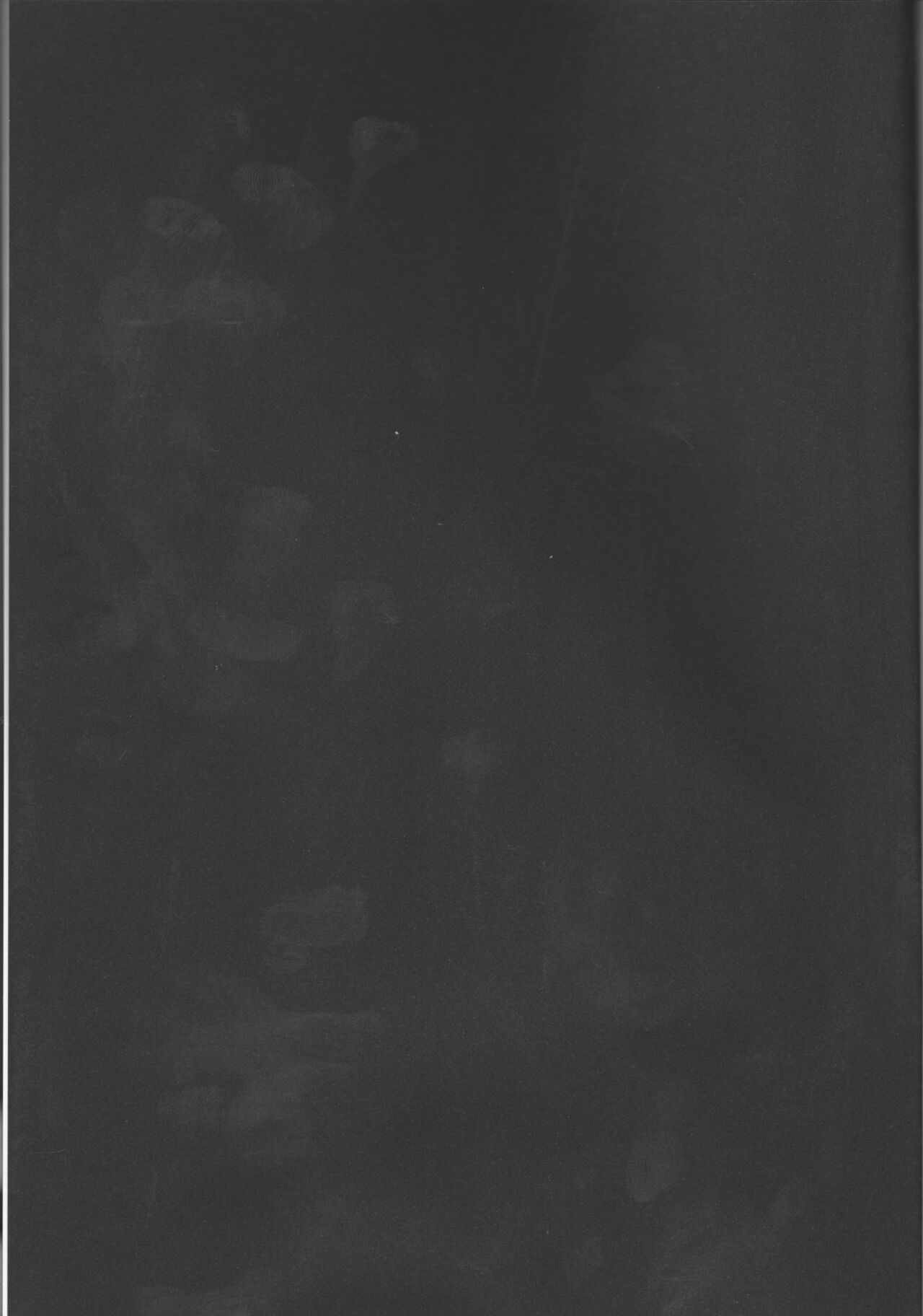 (第35次ROOT4to5) [envy (エン)] 白昼の恒星 (Fate/Grand Order)