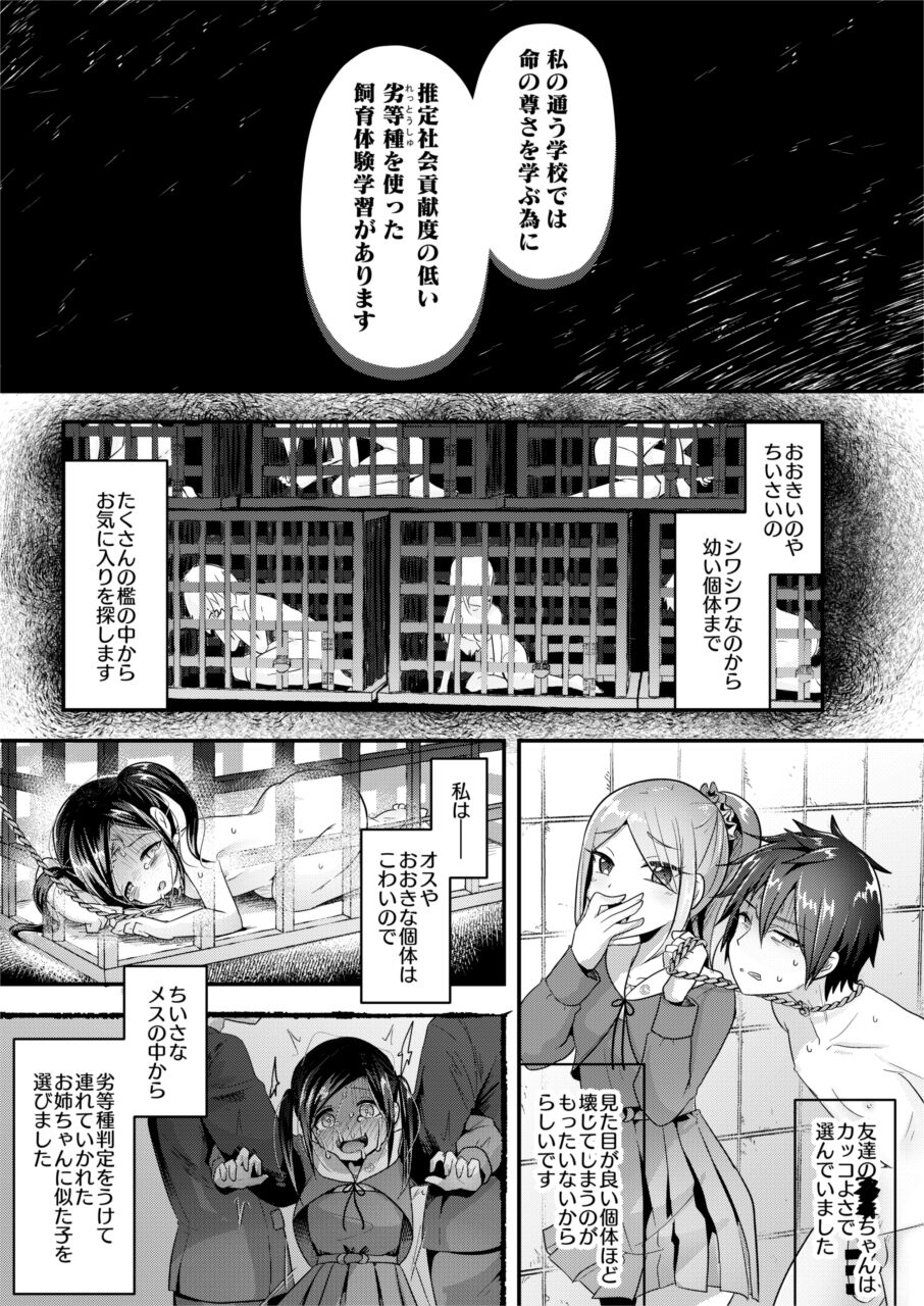 (C99)[電脳ちょこれーと (AwA)] 人肉飼育体験学習