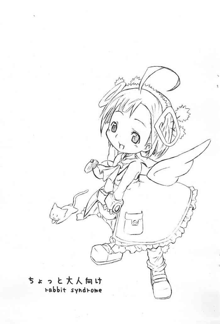 (ぷにケット13) [rabbit syndrome (rabbit)] ちょっと大人向け