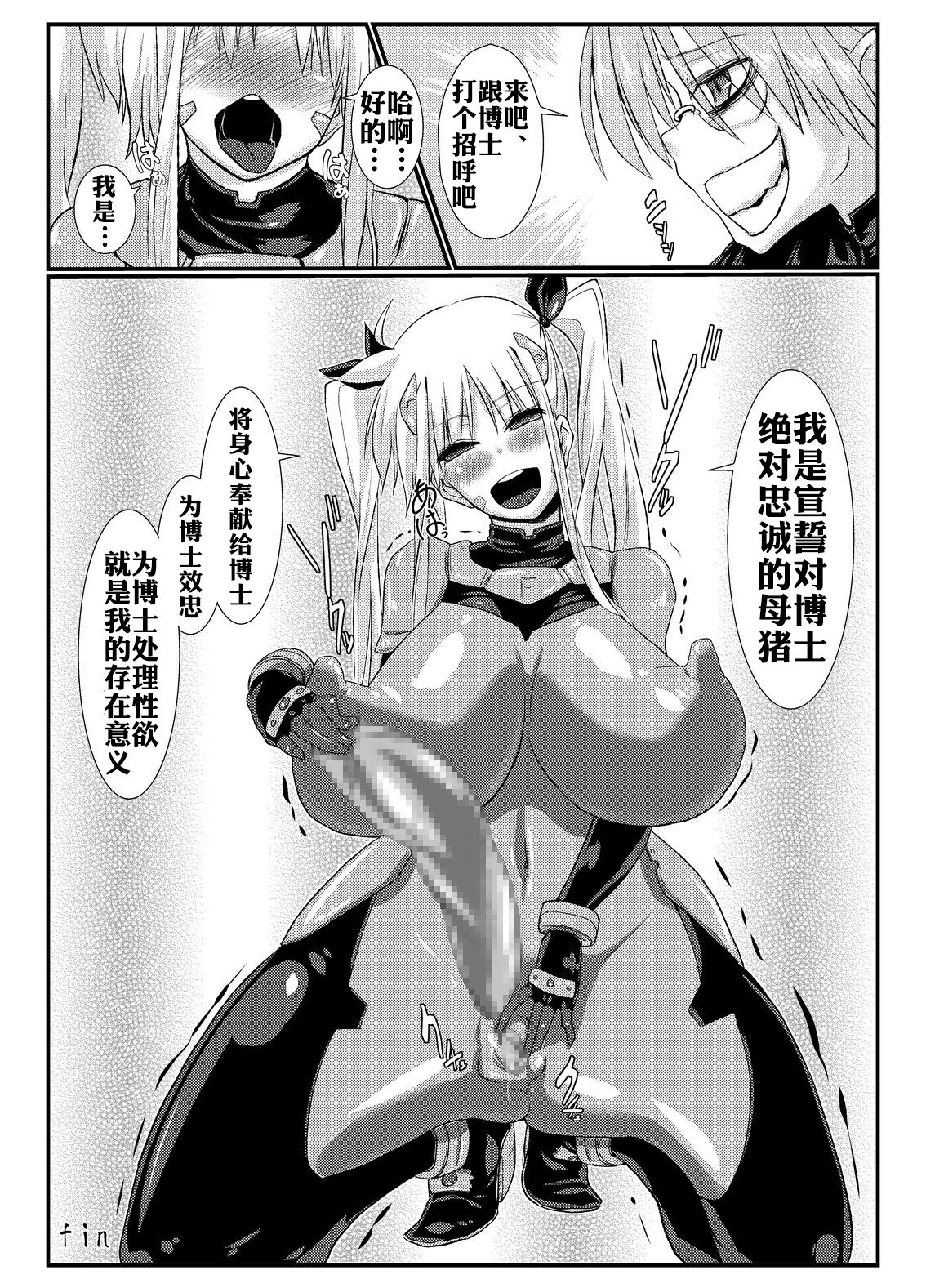 (リリカルマジカル9) [NULLまゆ (ちもさく)] ふぇいく (魔法少女リリカルなのは) [中国翻訳]