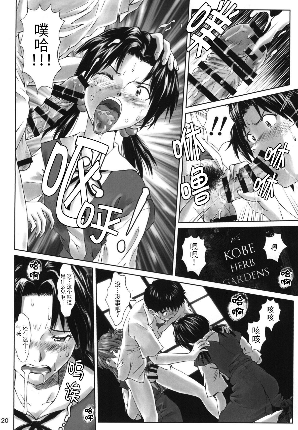 (C94) [天狗のつづら (黒てんぐ)] Let's share it (新世紀エヴァンゲリオン) [中国翻訳]