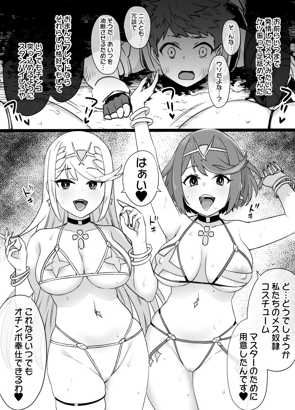 [草野郎] ホムラ＆ヒカリ洗脳NTR漫画 14P (ゼノブレイド2)