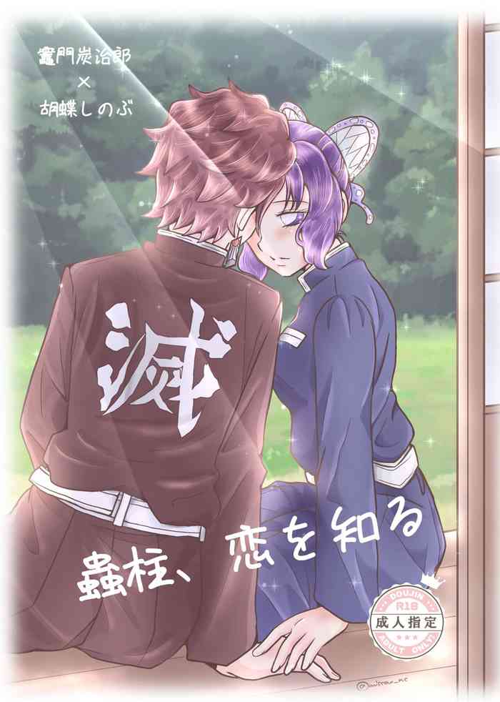 [ひかる] 蟲柱、恋を知る（炭しの漫画）