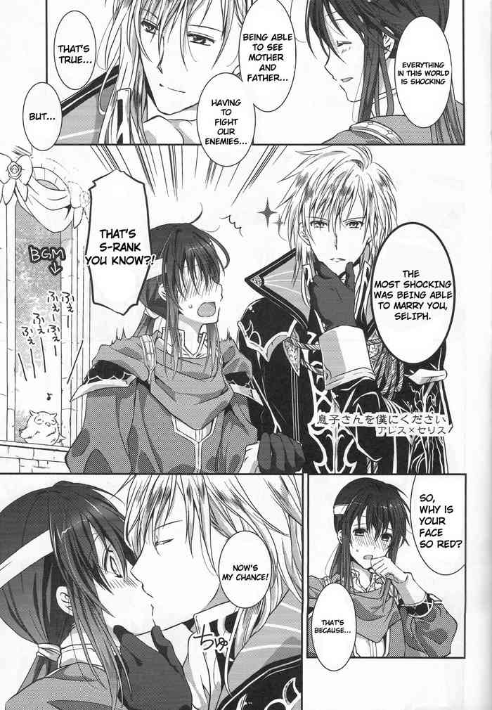 (C95) [双暦 (白雪しおん)] 星が呼ぶ扉の向こう (ファイアーエムブレムヒーローズ)