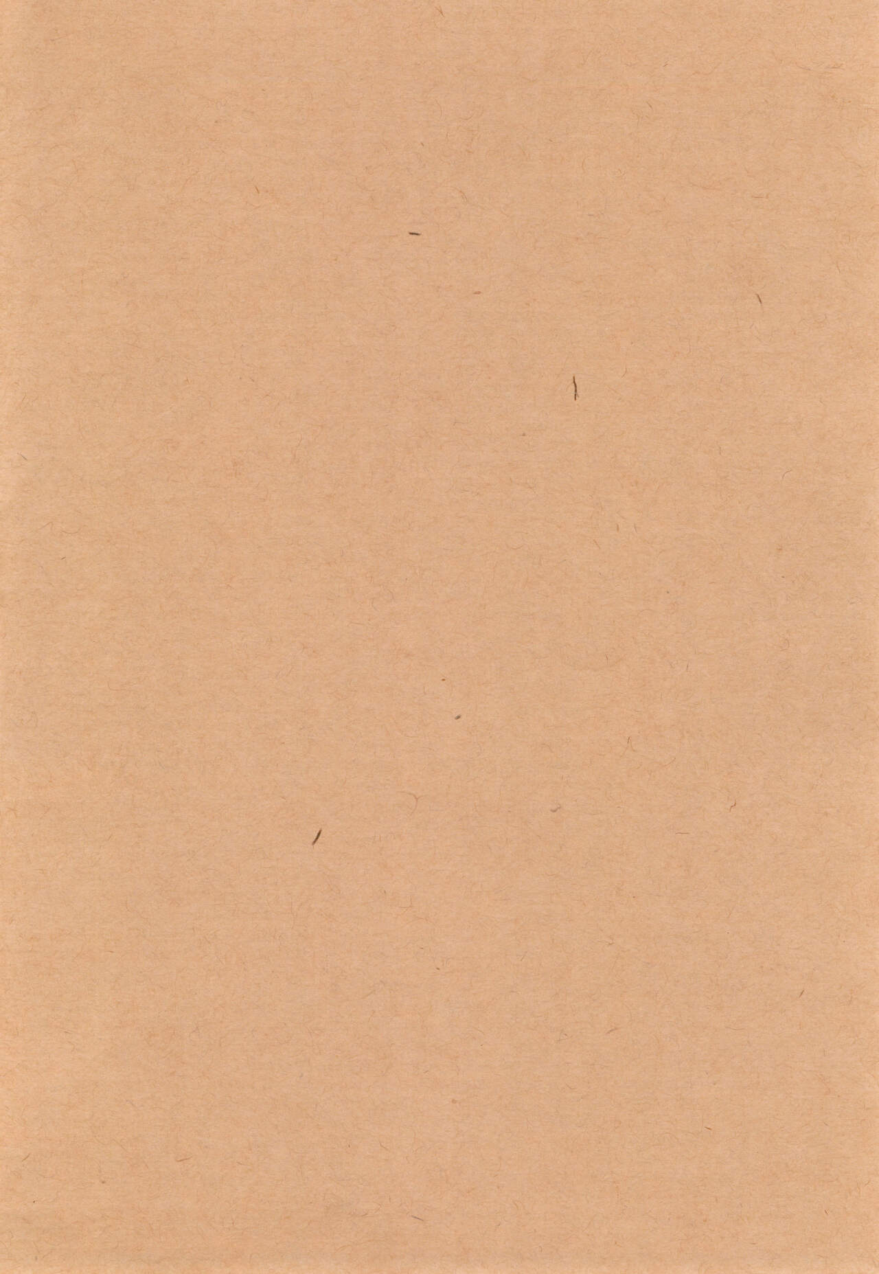 (C88) [西から東へ (波)] Coffee*milk (Fate/Zero) [英訳]