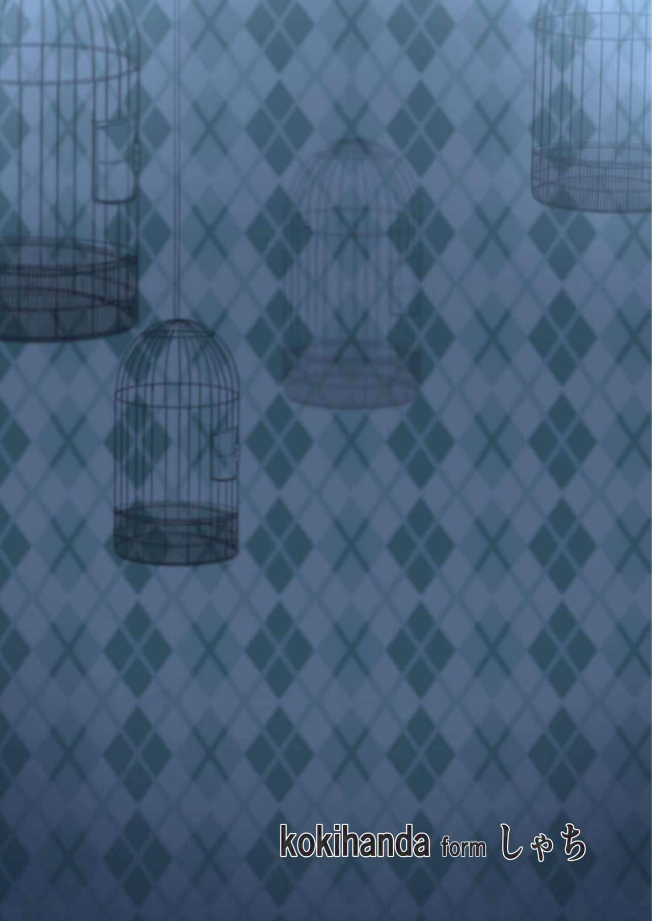 [しゃち (kokihanada)] 夜な夜な扇情作戦記録II[中国翻訳]