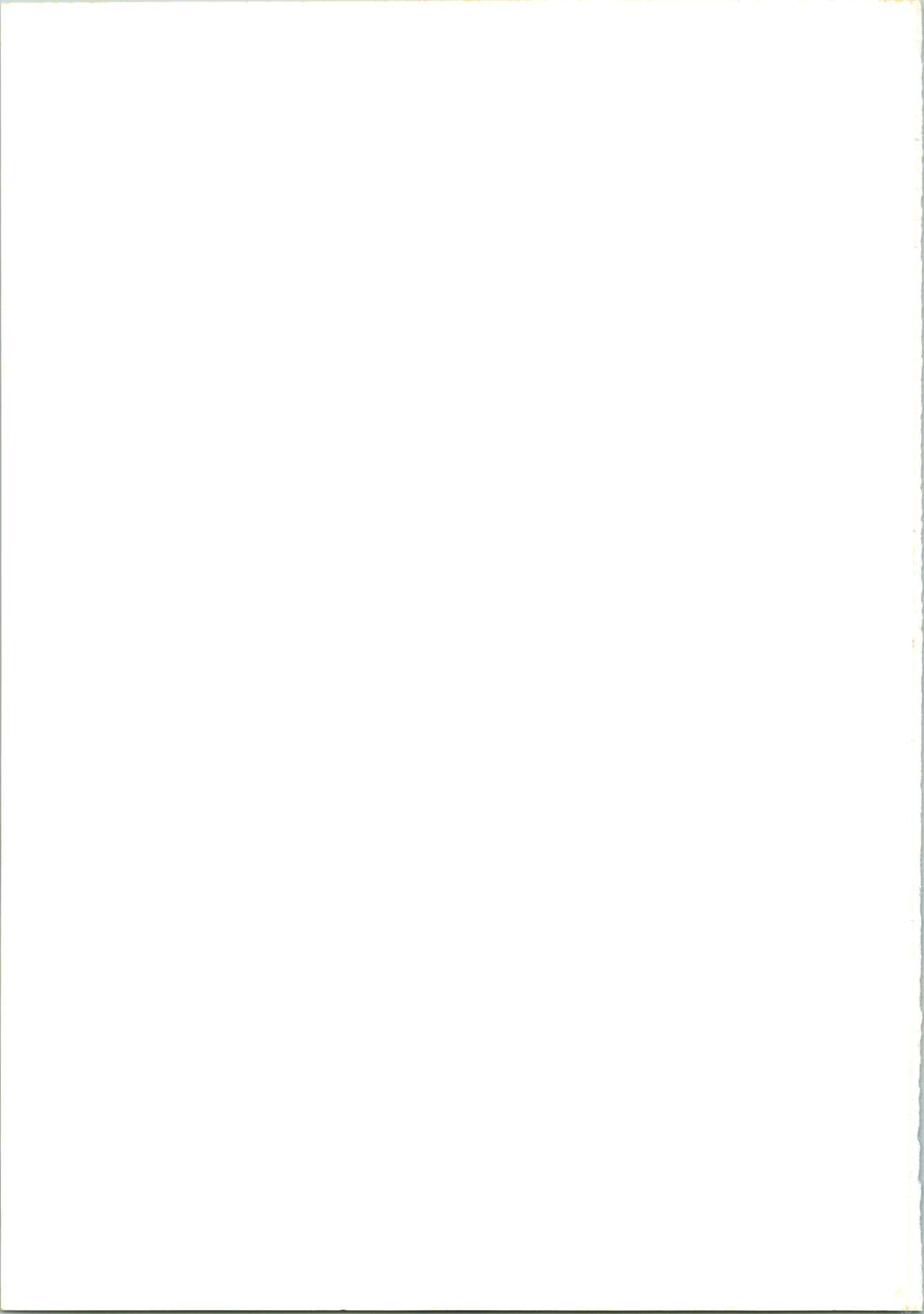 (C50) [NHK (よろず)] クローズアップ現代 「創刊号」 (ドミニオン、秘境探検ファム&イーリー、ストリートファイター、天地無用!)