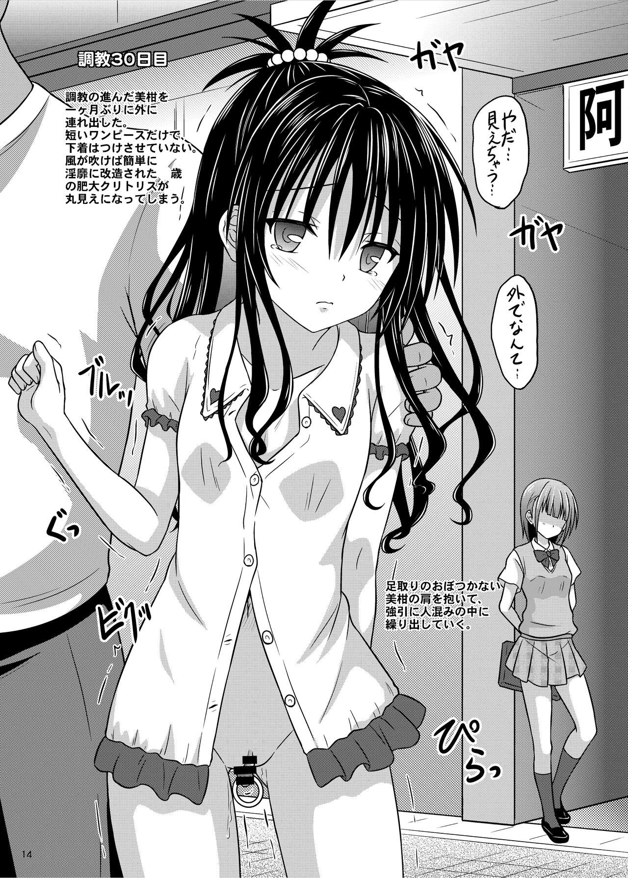 [ちらりずむ (ヒダカトヲル) ] 少女調教観察記録 [DL版]