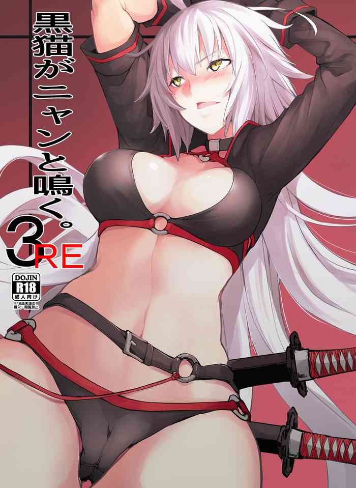 [IRON GRIMOIRE (SAKULA)] 黒猫がニャンと鳴く。3RE (Fate/Grand Order) [中国翻訳] [DL版]