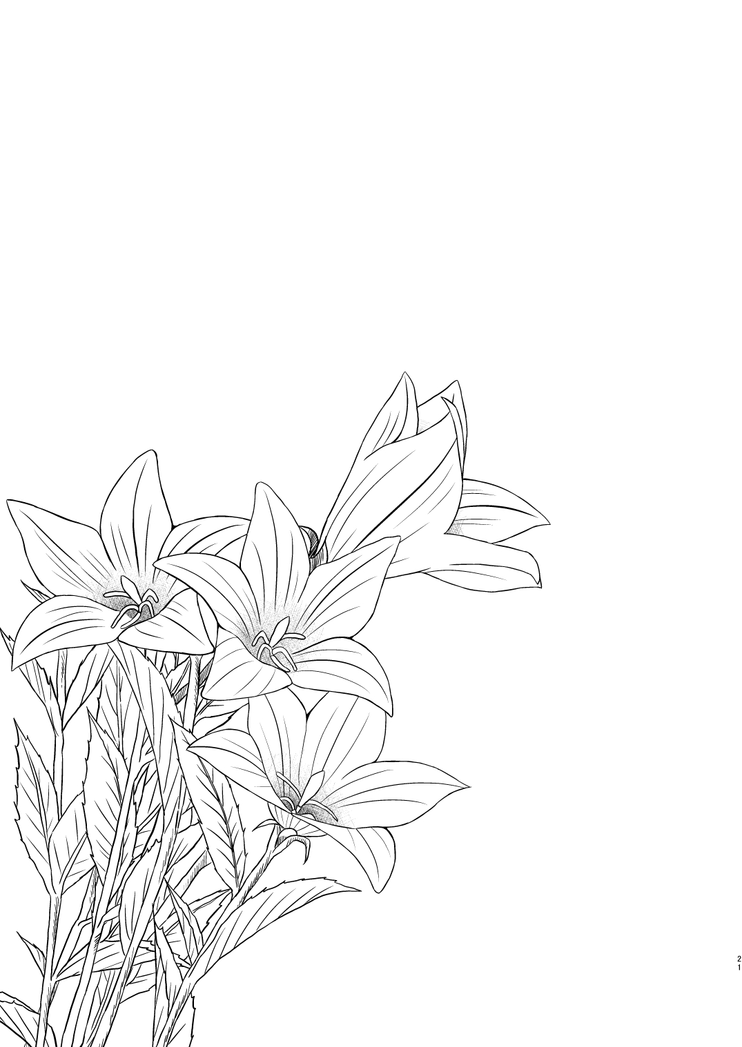 [ノラネコノタマ (雪野みなと)] 光の君のさがなき計画〈明石〉 [無修正] [DL版]