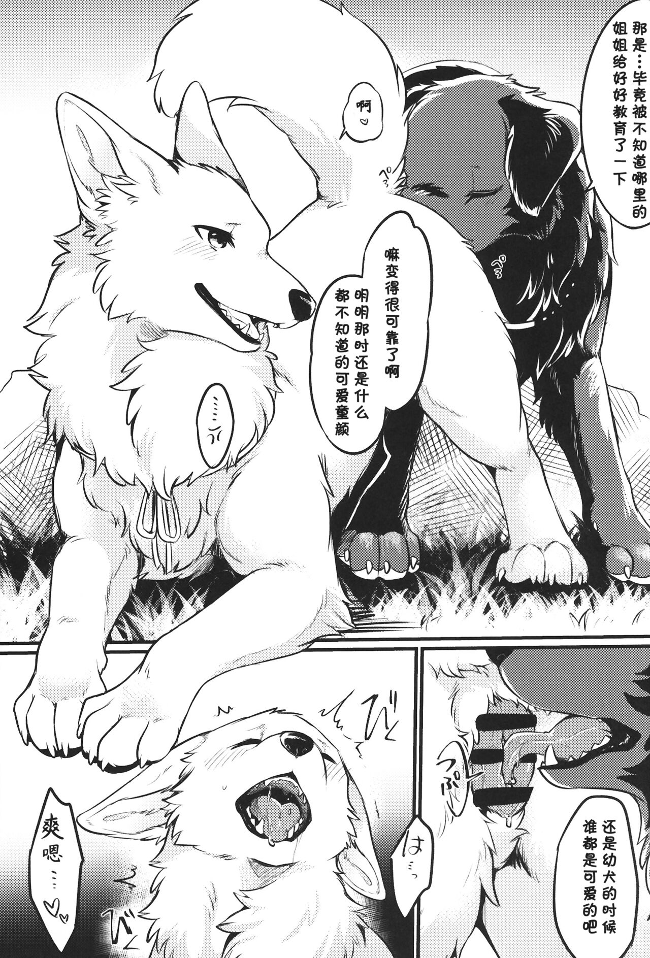 (けもケット11) [回転ParaDOGs (水賀つくね)] 箱庭ジェラシー [中国翻訳]